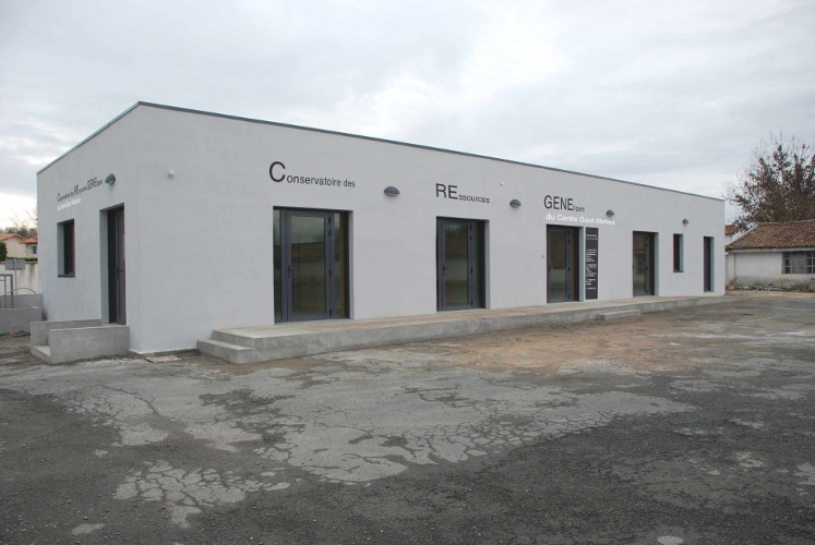 CREGENE
