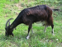 IMG_0734.jpg